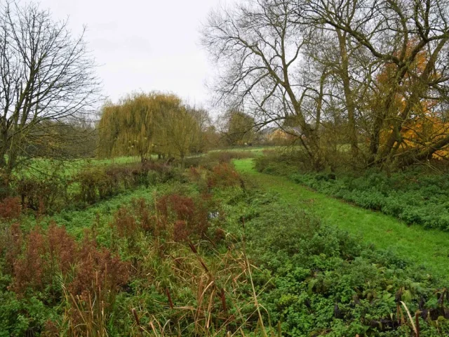 Cuttlebrook Nature Reserve